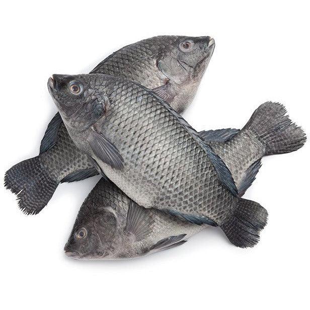 Gutted Scaled Tilapia 300-500gm-SurulereFoods